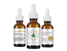 Load image into Gallery viewer, High Strength Pet CBD Oil 500mg